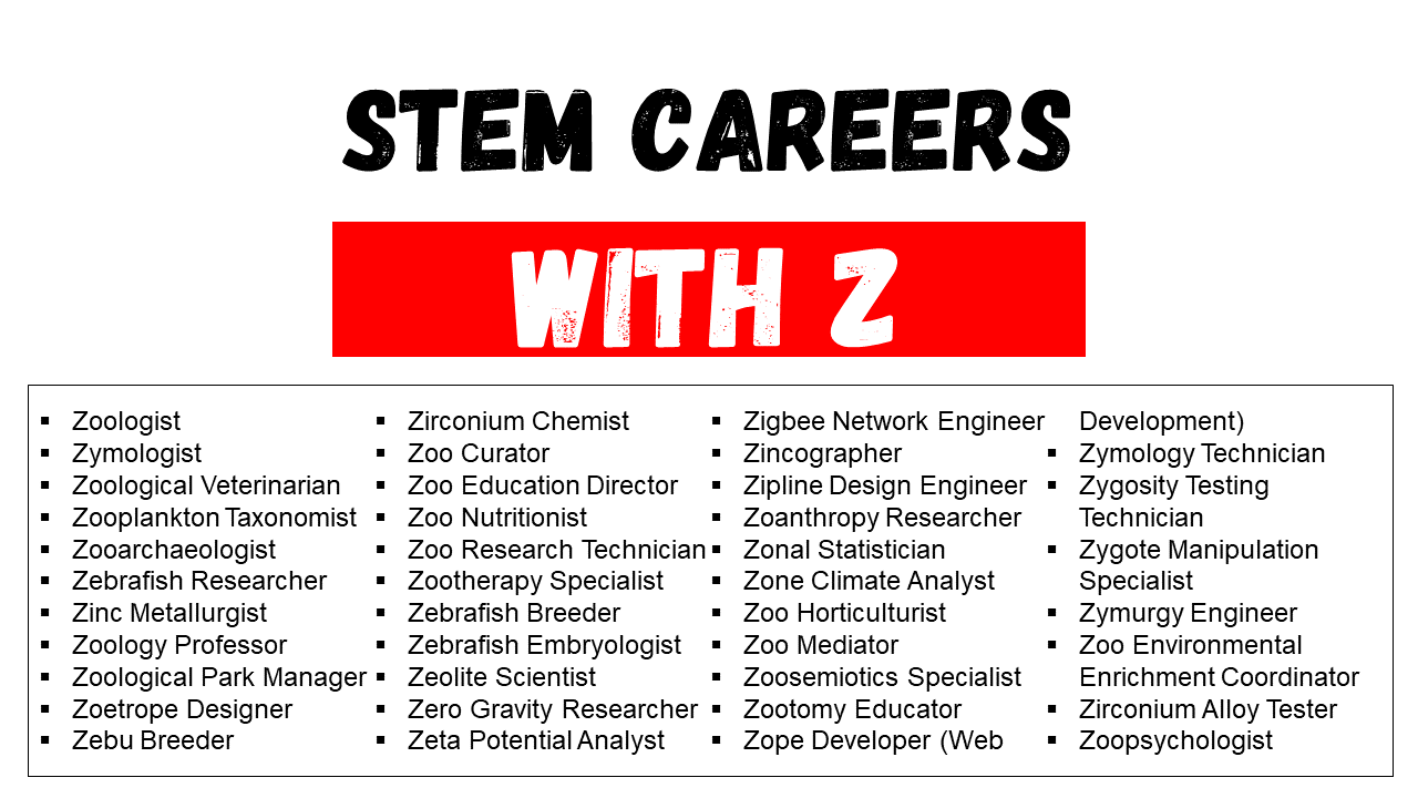 Engineering Careers That Start with Z