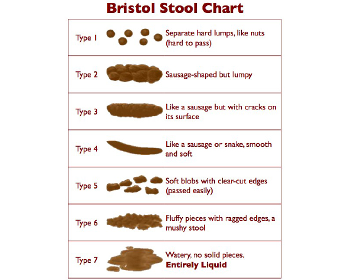 What Does It Mean When Your Poop Is Stringy
