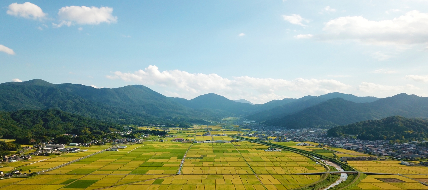 なぜ京都・与謝野町が今アツい？ホップと伝統で移住者が急増する3つの理由