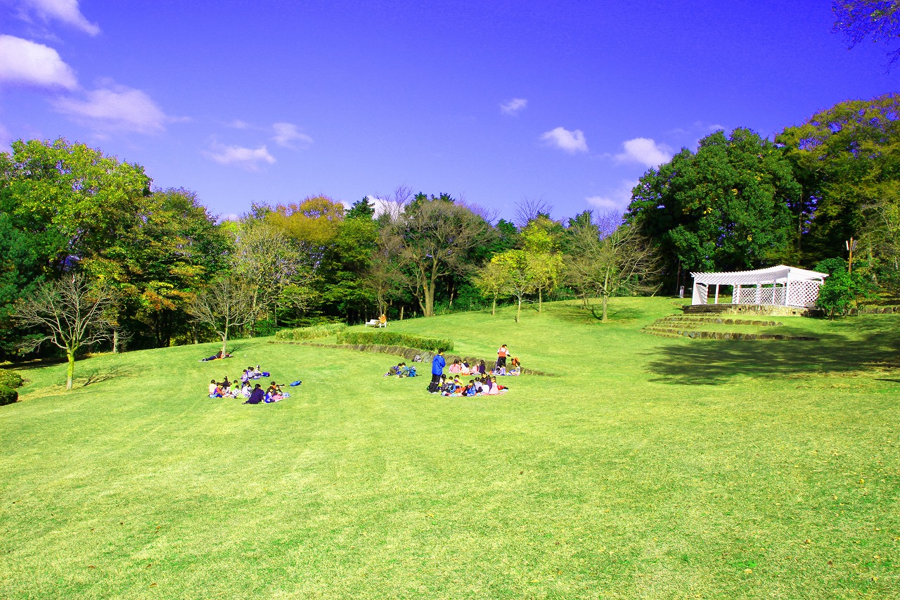 七沢森林公園の落とし穴とは？Bbq予約・混雑・ヤマビル対策を徹底検証