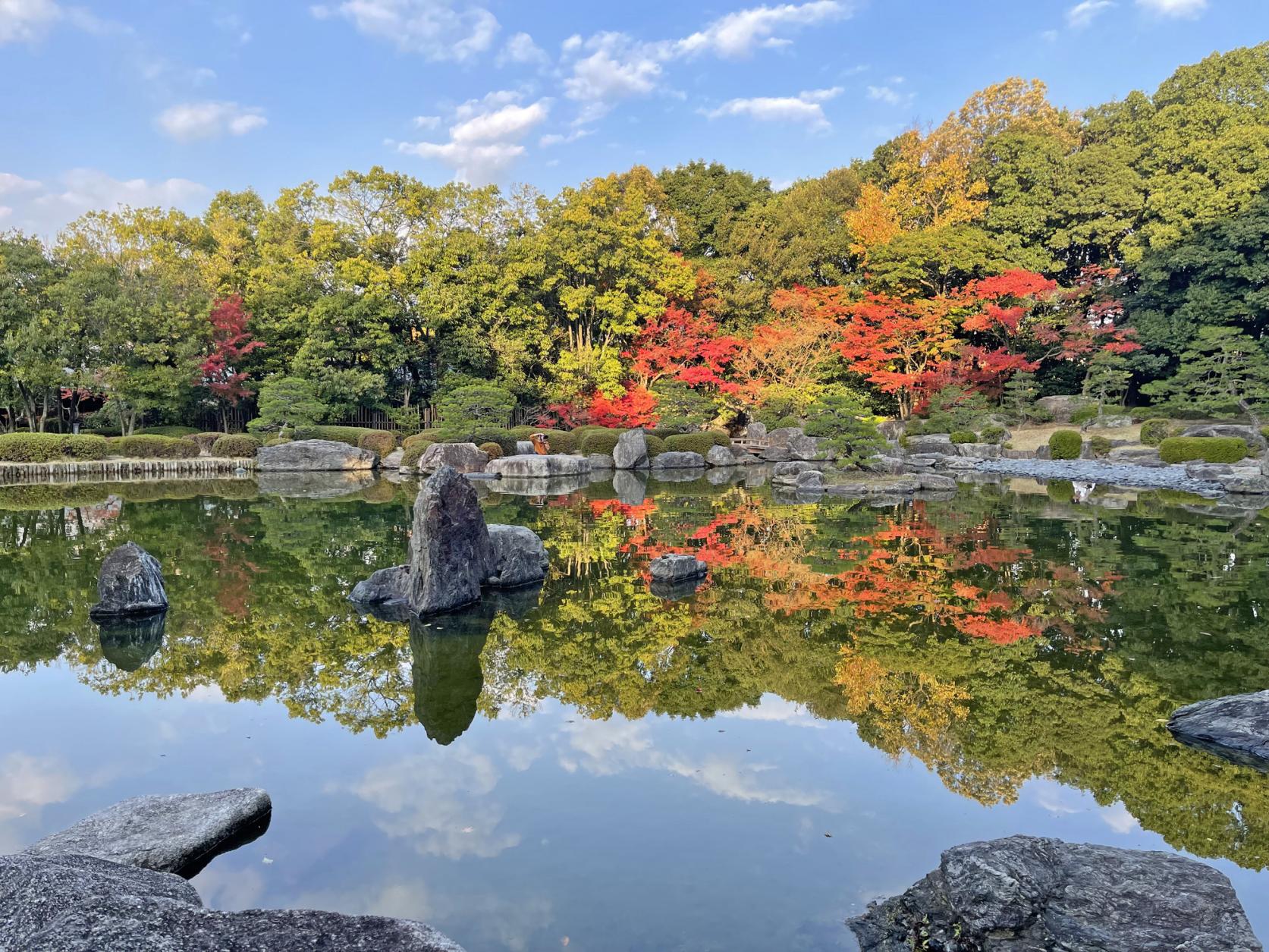 なぜ人気？大濠公園日本庭園の魅力を徹底解説！料金・開園時間と茶室の絶景
