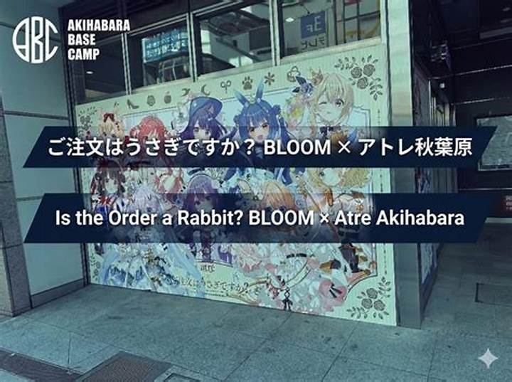 Https: //Www. Adelakun. Org/Akihabara-1/9080926/